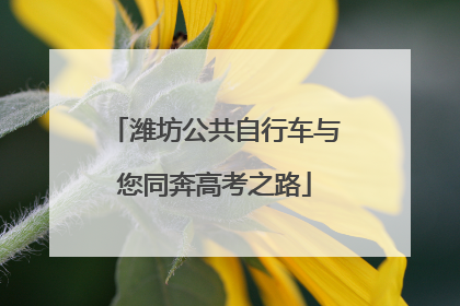潍坊公共自行车与您同奔高考之路