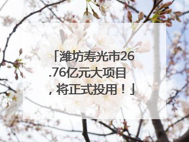 潍坊寿光市26.76亿元大项目，将正式投用！