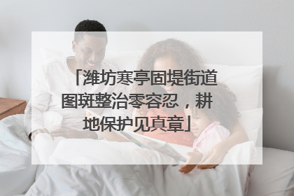 潍坊寒亭固堤街道图斑整治零容忍，耕地保护见真章