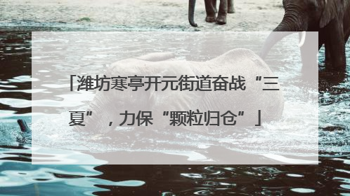 潍坊寒亭开元街道奋战“三夏”，力保“颗粒归仓”