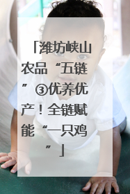 潍坊峡山农品“五链”③优养优产！全链赋能“一只鸡”