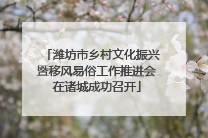 潍坊市乡村文化振兴暨移风易俗工作推进会在诸城成功召开