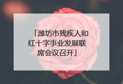潍坊市残疾人和红十字事业发展联席会议召开