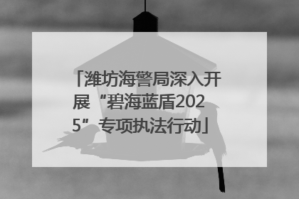 潍坊海警局深入开展“碧海蓝盾2025”专项执法行动