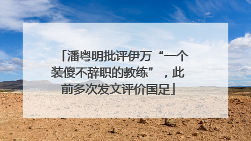 潘粤明批评伊万“一个装傻不辞职的教练”，此前多次发文评价国足