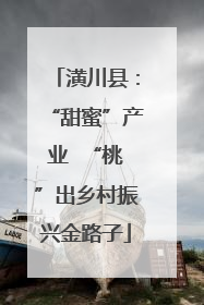 潢川县：“甜蜜”产业  “桃”出乡村振兴金路子