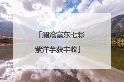 澜沧富东七彩紫洋芋获丰收