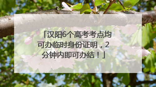 汉阳6个高考考点均可办临时身份证明，2分钟内即可办结！