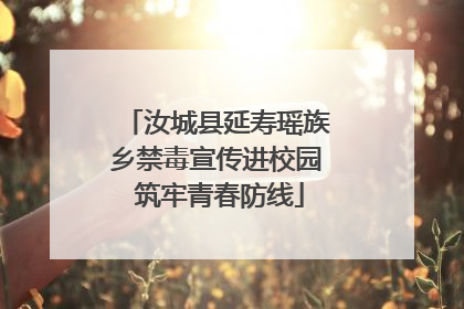 汝城县延寿瑶族乡禁毒宣传进校园 筑牢青春防线