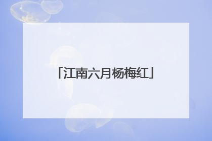 江南六月杨梅红