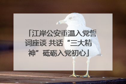江岸公安重温入党誓词座谈 共话“三大精神”砥砺入党初心