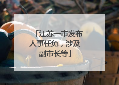 江苏一市发布人事任免，涉及副市长等