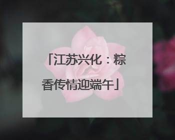 江苏兴化：粽香传情迎端午