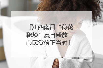江西南昌“荷花秘境”夏日盛放 市民赏荷正当时