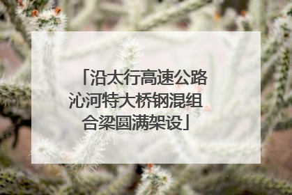 沿太行高速公路沁河特大桥钢混组合梁圆满架设