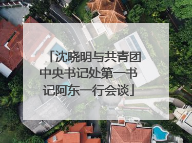 沈晓明与共青团中央书记处第一书记阿东一行会谈