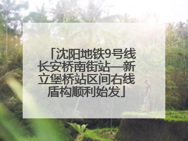 沈阳地铁9号线长安桥南街站—新立堡桥站区间右线盾构顺利始发