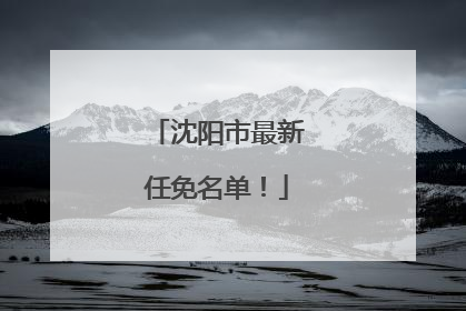 沈阳市最新任免名单！