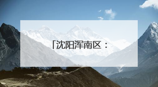 沈阳浑南区：政务服务进村屯，“村政通”助力乡村振兴
