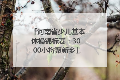 河南省少儿基本体操锦标赛：3000小将聚新乡