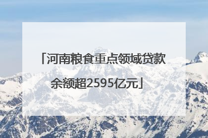 河南粮食重点领域贷款余额超2595亿元