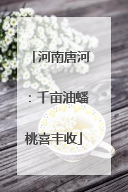 河南唐河：千亩油蟠桃喜丰收