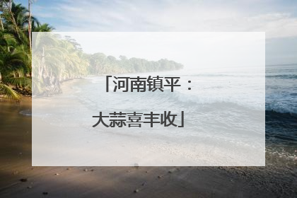 河南镇平：大蒜喜丰收