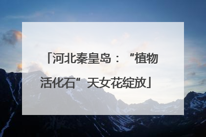 河北秦皇岛：“植物活化石”天女花绽放