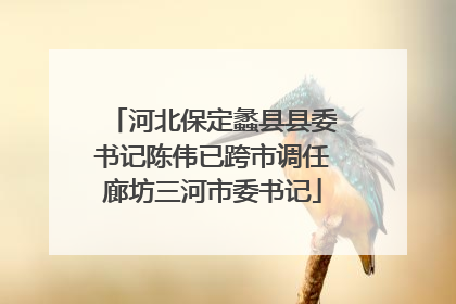 河北保定蠡县县委书记陈伟已跨市调任廊坊三河市委书记