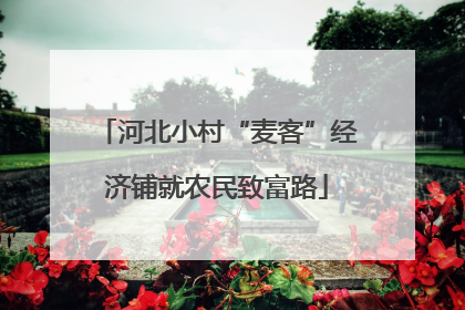 河北小村“麦客”经济铺就农民致富路