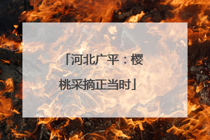 河北广平：樱桃采摘正当时
