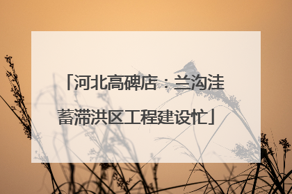 河北高碑店：兰沟洼蓄滞洪区工程建设忙