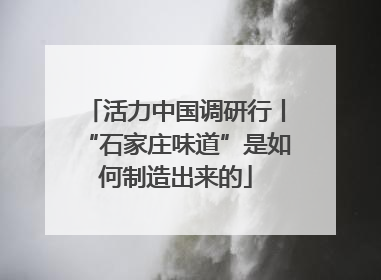活力中国调研行丨“石家庄味道”是如何制造出来的