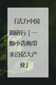 活力中国调研行｜一颗小青梅带来百亿大产业