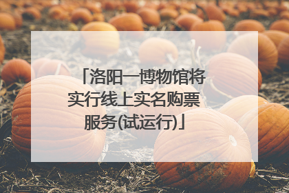 洛阳一博物馆将实行线上实名购票服务(试运行)