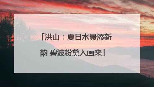 洪山：夏日水景添新韵 碧波粉黛入画来