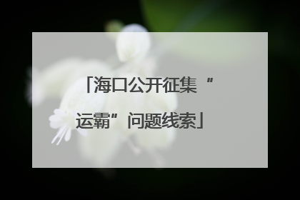 海口公开征集“运霸”问题线索