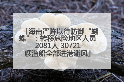 海南严阵以待防御“蝴蝶”：转移危险地区人员2081人 30721艘渔船全部进港避风