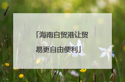 海南自贸港让贸易更自由便利