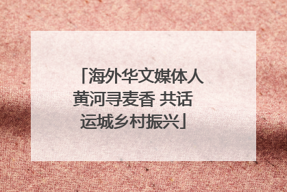 海外华文媒体人黄河寻麦香 共话运城乡村振兴