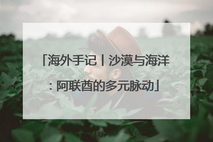 海外手记丨沙漠与海洋：阿联酋的多元脉动