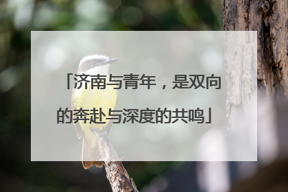 济南与青年，是双向的奔赴与深度的共鸣