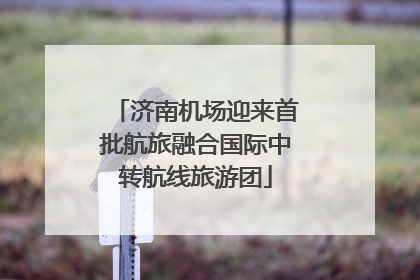 济南机场迎来首批航旅融合国际中转航线旅游团