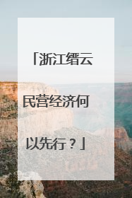 浙江缙云民营经济何以先行？