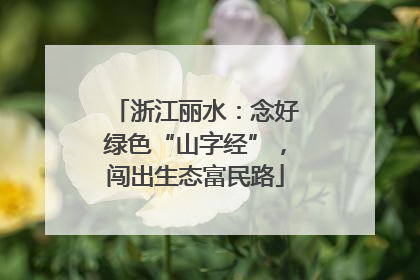 浙江丽水：念好绿色“山字经”，闯出生态富民路