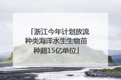 浙江今年计划放流种类海洋水生生物苗种超15亿单位