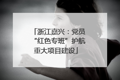 浙江嘉兴：党员“红色专班”护航重大项目建设