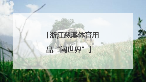 浙江慈溪体育用品“闯世界”