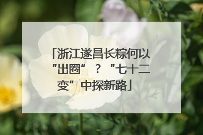浙江遂昌长粽何以“出圈”？“七十二变”中探新路