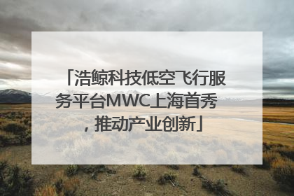 浩鲸科技低空飞行服务平台MWC上海首秀，推动产业创新